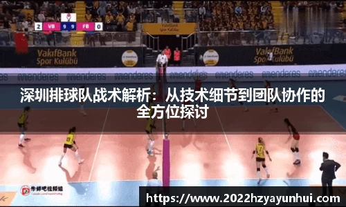 星空.综合体育官网