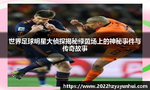 星空.综合体育官网